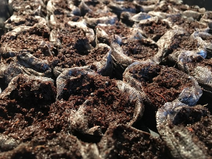 Photo Apr 10, 3 49 56 PM