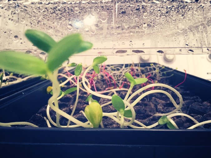 Photo Apr 21, 5 04 00 PM