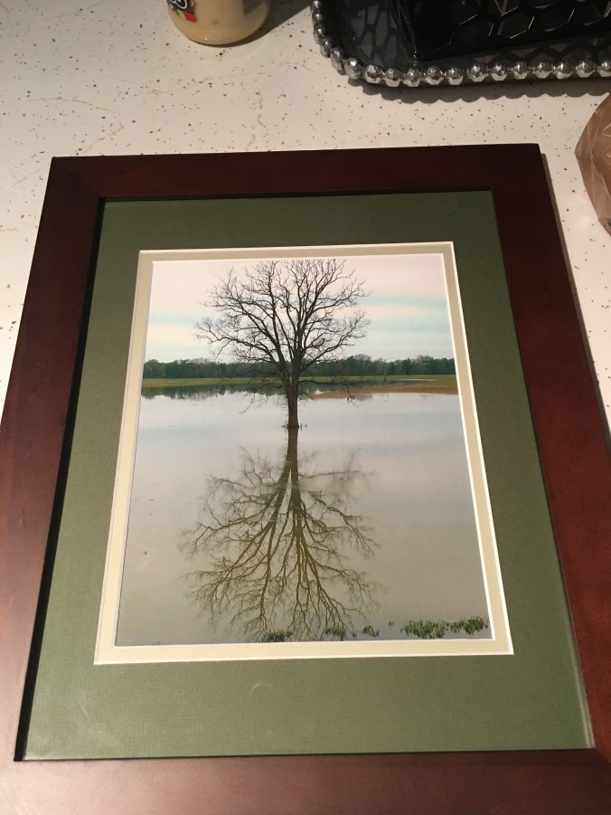 Photo May 04, 6 51 45 PM