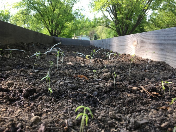 Photo May 06, 5 30 52 PM