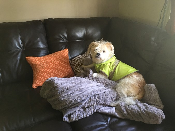 Photo May 23, 6 00 23 PM