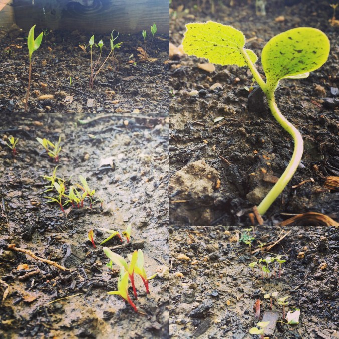 Photo May 23, 6 56 22 PM