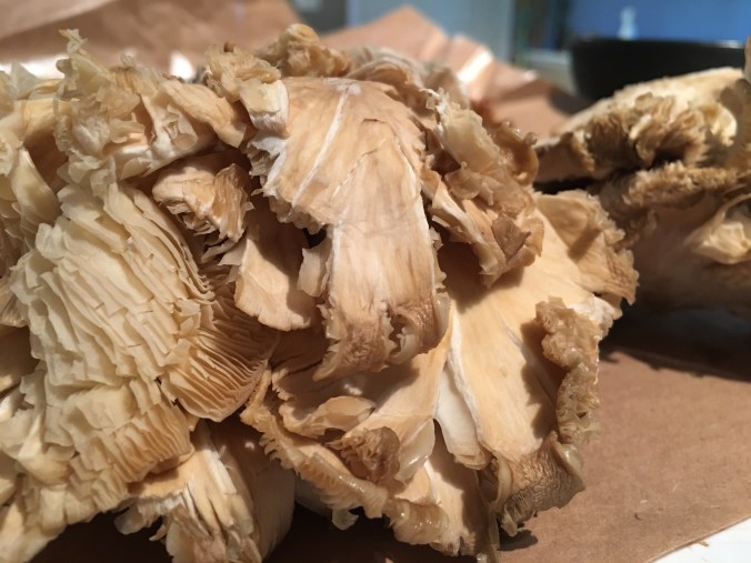 Photo May 24, 3 16 09 PM