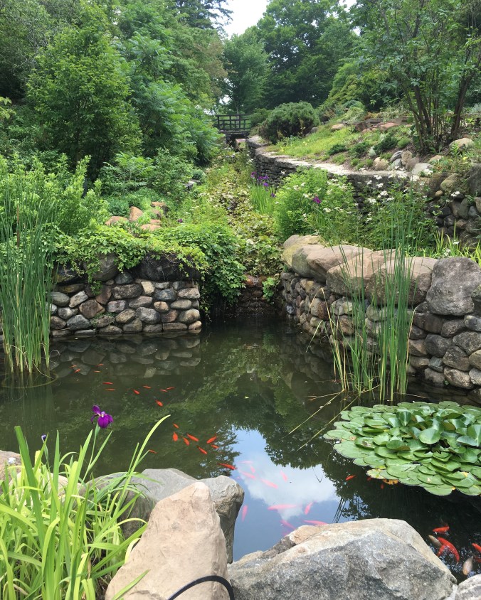 Photo Jun 12, 1 54 22 PM (1)