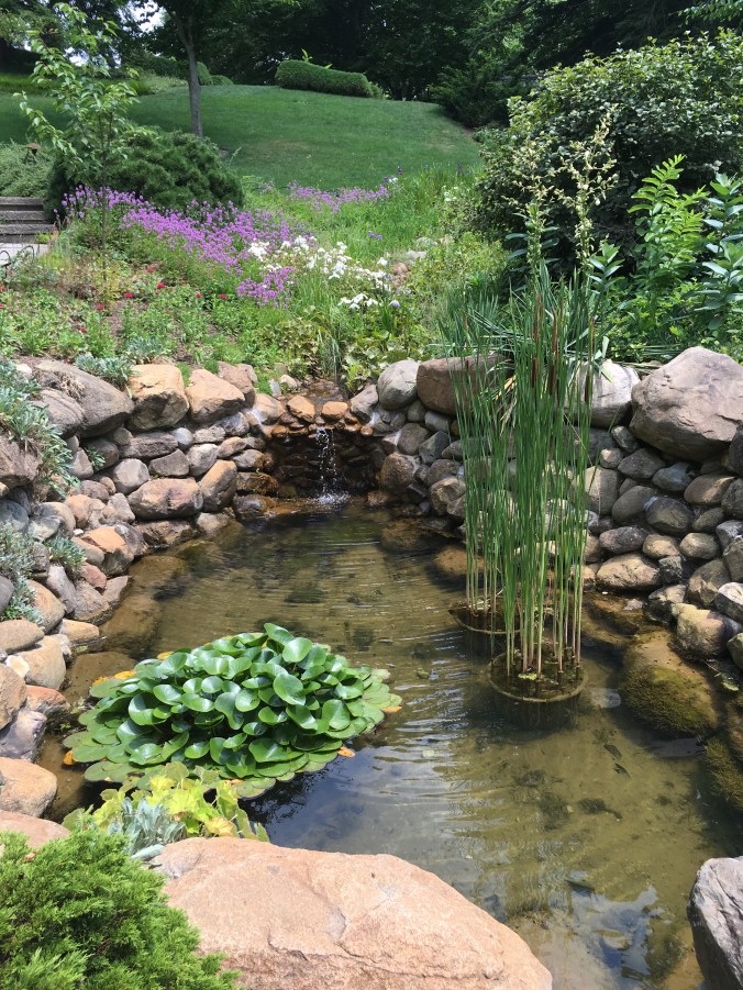 Photo Jun 12, 2 00 18 PM