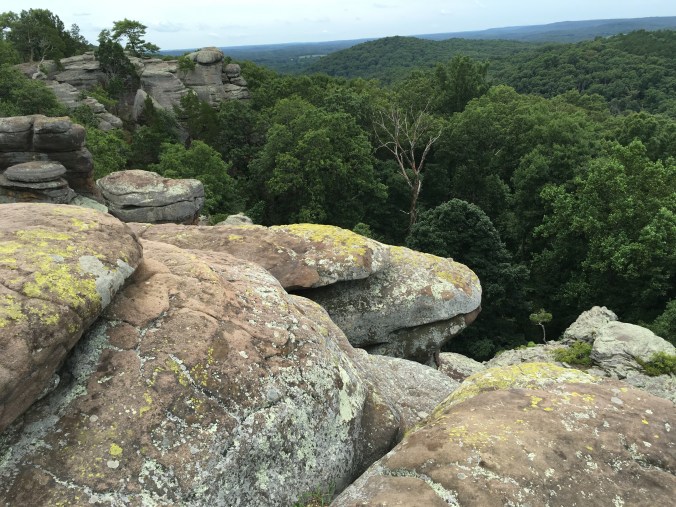 Photo Jul 09, 1 48 34 PM (1)