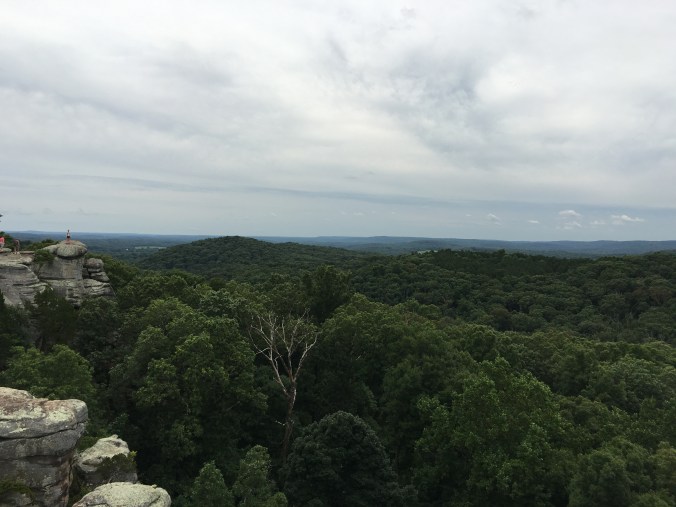 Photo Jul 09, 2 00 48 PM