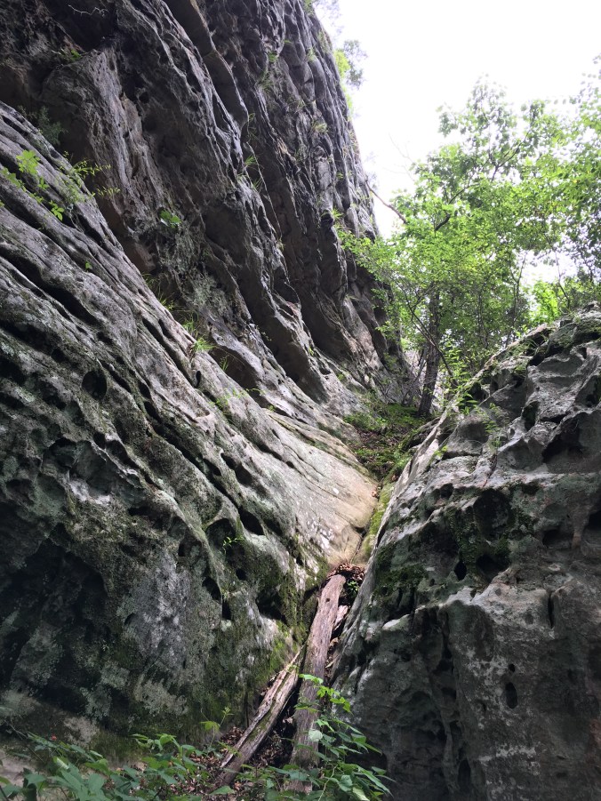 Photo Jul 09, 3 02 03 PM (1)