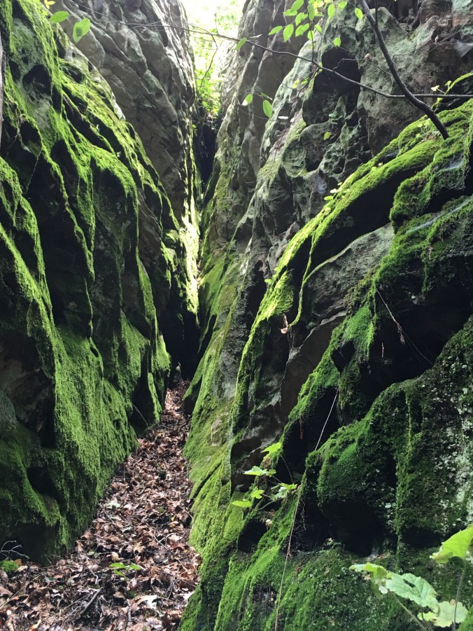 Photo Jul 09, 3 03 28 PM