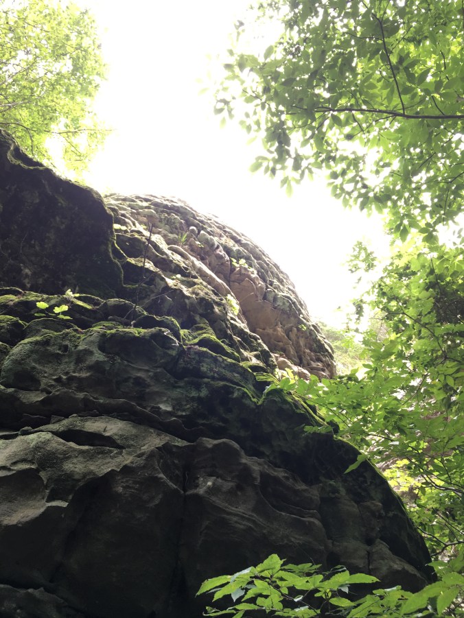 Photo Jul 09, 3 05 01 PM (1)