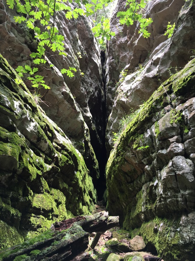 Photo Jul 09, 3 05 25 PM