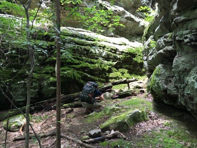 Photo Jul 09, 3 06 25 PM