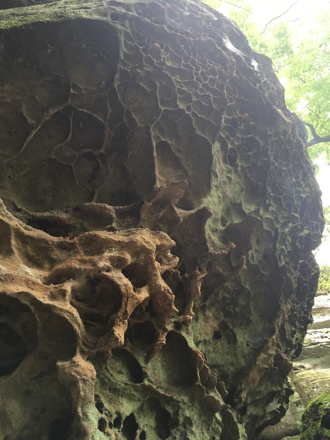 Photo Jul 09, 4 45 12 PM