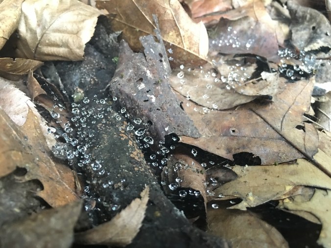 Photo Jul 09, 4 46 02 PM