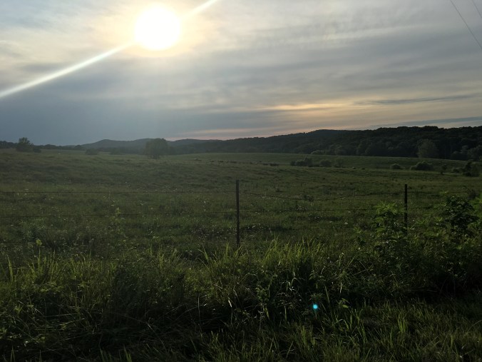 Photo Jul 09, 7 48 06 PM (1)