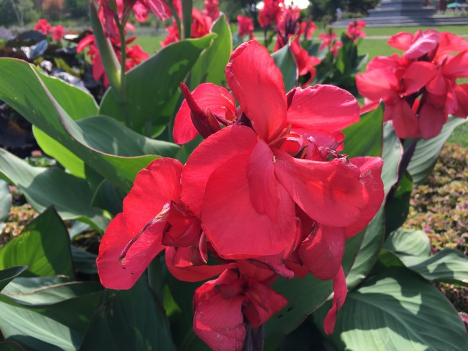 Photo Jul 23, 11 22 50 AM