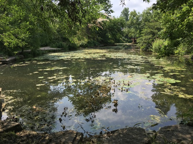 Photo Jul 23, 11 36 47 AM